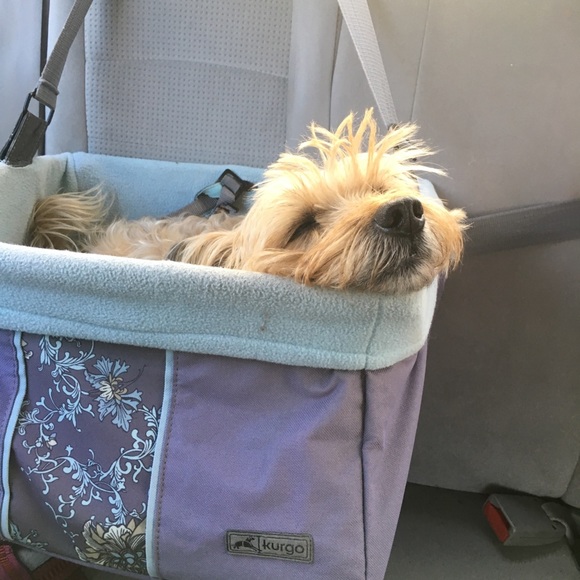 Meet your Posher, Cheryl - Picture 2 of 5